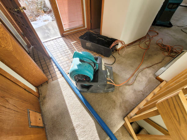 Best Carpet water damage restoration  in Scotchtown, NY