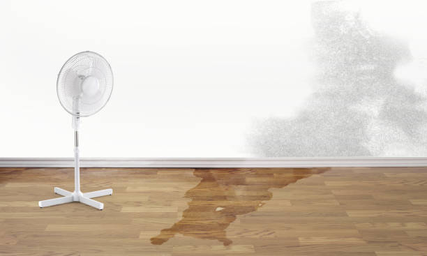 Best Water damage restoration specialists  in Scotchtown, NY